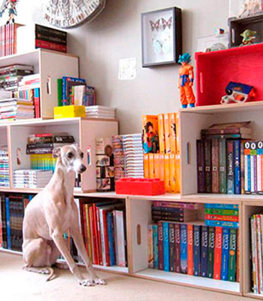 Estantería para comics